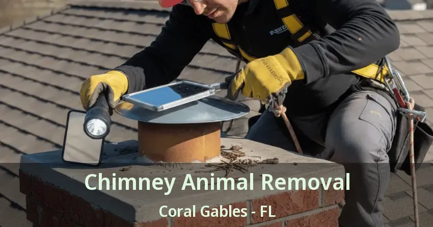 Chimney Animal Removal Coral Gables - FL