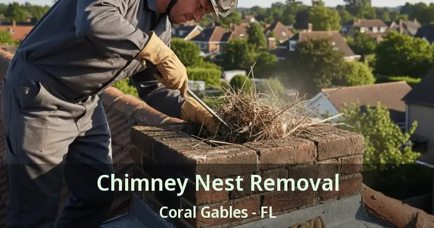 Chimney Nest Removal Coral Gables - FL Chimney Nest Removal Coral Gables - FL