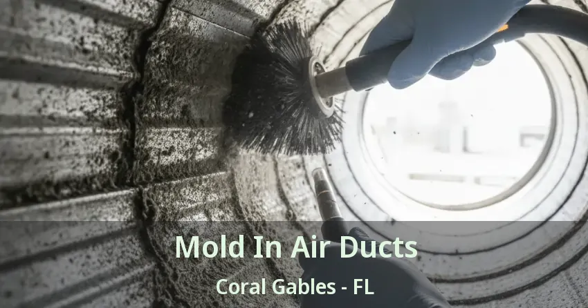 Mold In Air Ducts Coral Gables - FL