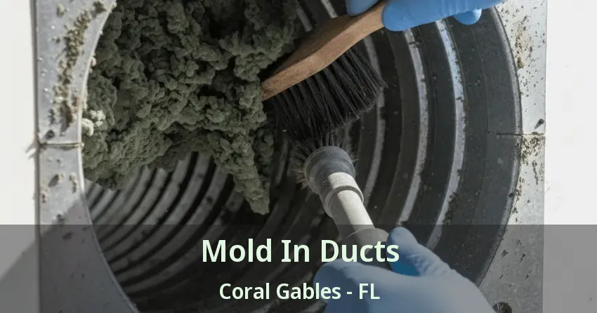 Mold In Ducts Coral Gables - FL