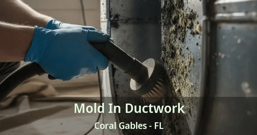 Mold In Ductwork Coral Gables - FL