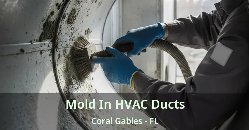 Mold In HVAC Ducts Coral Gables - FL