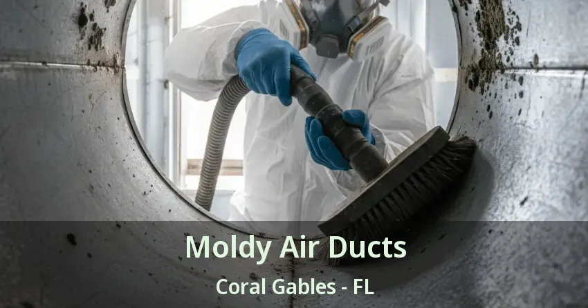 Moldy Air Ducts Coral Gables - FL